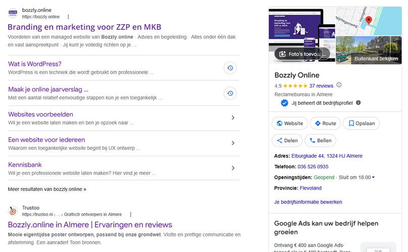 schermafbeelding van de zoekresultaten van Bozzly Online op Google Mijn Bedrijf